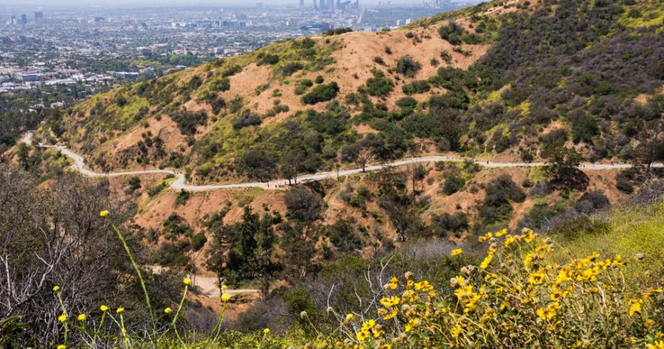 20 Mejores Cosas que Hacer en LA