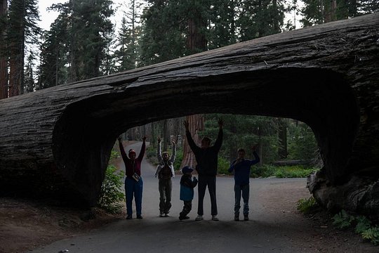 Tour image 5