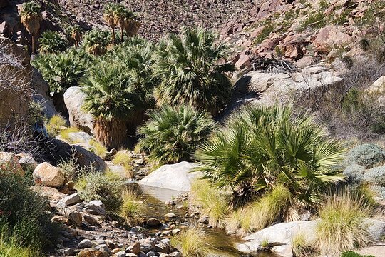 Tour image 9
