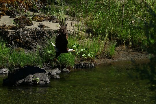 Tour image 9